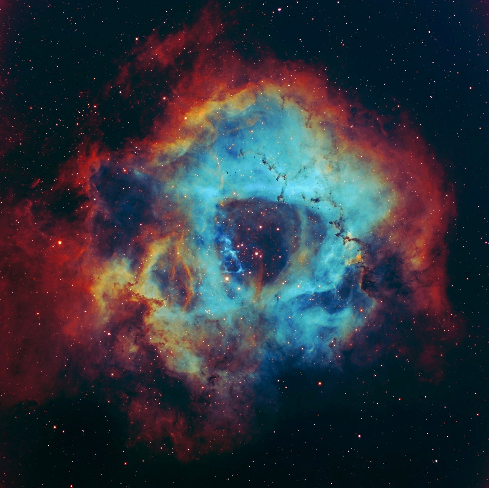 NGC 2244 — Amas de la Rosette
